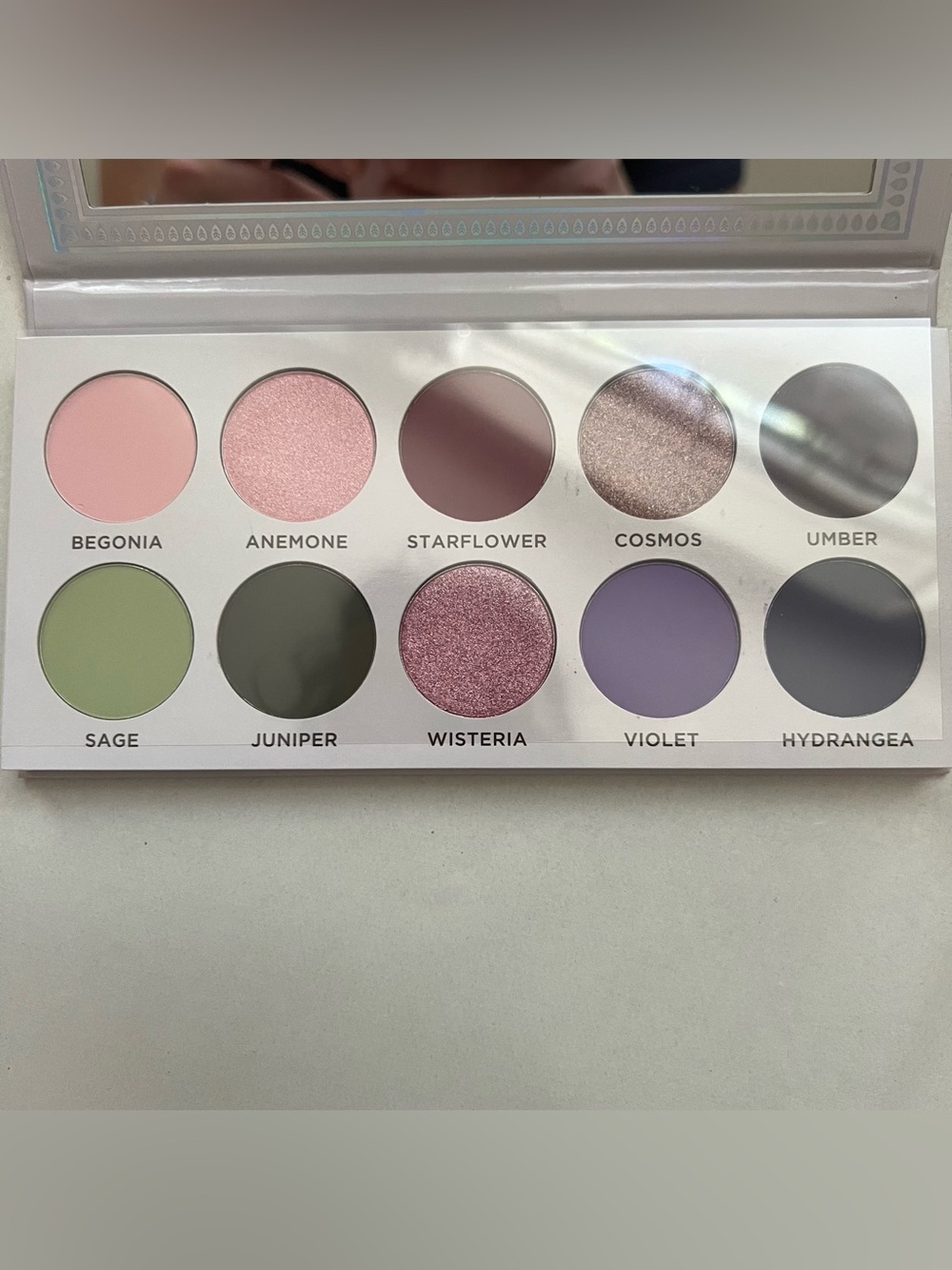 Ace Beaute Violet Sage Limited Edition Eyeshadow Palette 10 Shades Matte Shimmer